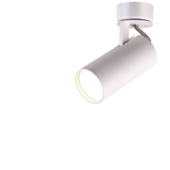 Светильник спот ODEON LIGHT CORSE 3873/1C