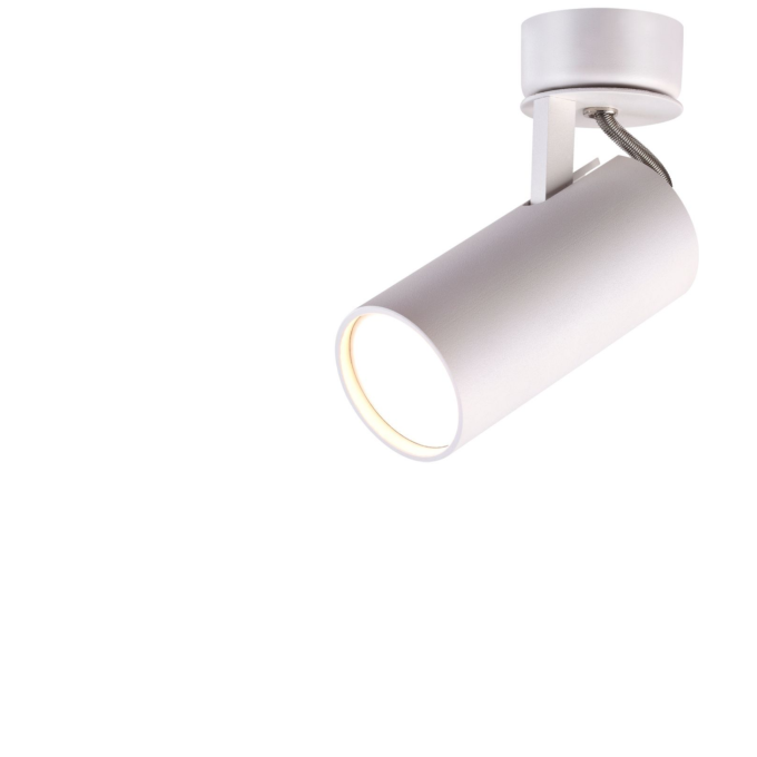 Светильник спот ODEON LIGHT CORSE 3873/1C